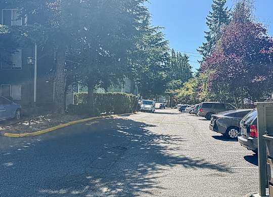 A sunny day on a tree-lined street with cars parked on the side.