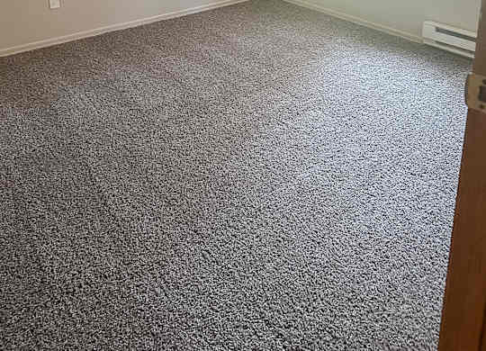 A room with a carpeted floor and a window.