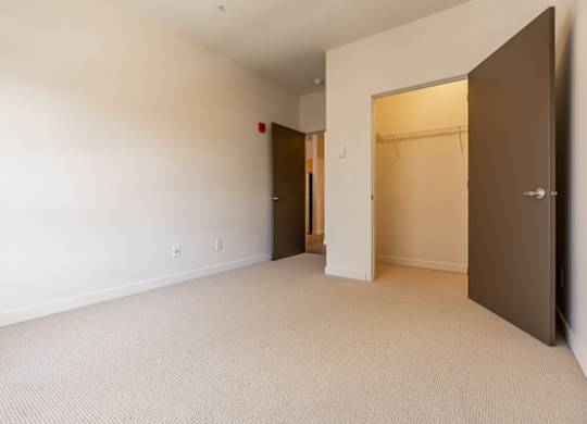 A room with a carpeted floor and two open doors.