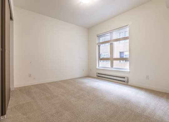 A room with a window and a carpeted floor.