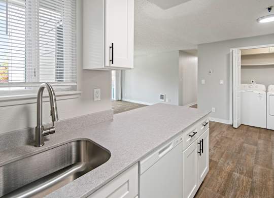 A kitchen with a sink and cabinets.