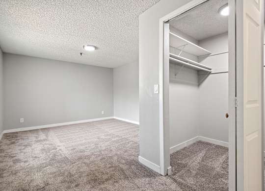 A room with a carpeted floor and a closet with shelves.