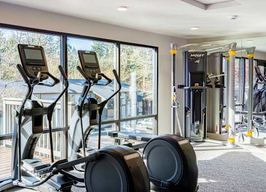 A gym with treadmills and elliptical machines.