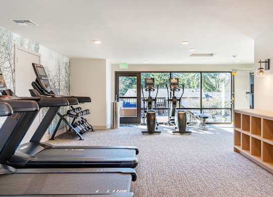 A gym with treadmills, weights, and a green exit sign.
