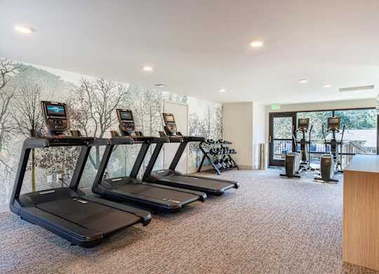 A gym with treadmills and exercise equipment.