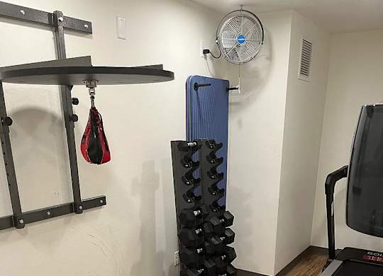 A gym room with a treadmill, bench, weights and a hanging leg curl.