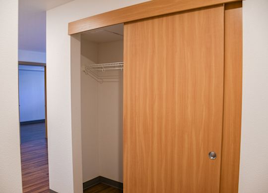 A wooden closet door is open.