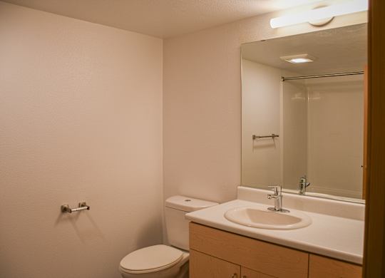 A bathroom with a toilet, sink, and mirror.