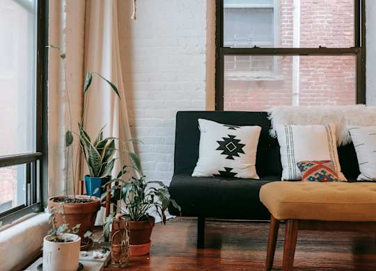 A living room with a black couch, a wooden table, and several potted plants.