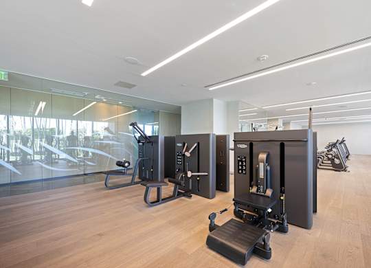 A gym with treadmills, exercise bikes, and elliptical machines.