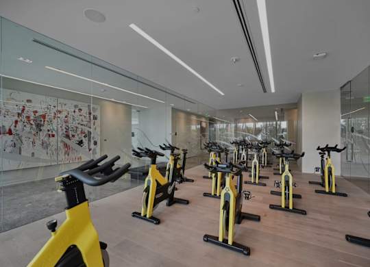 A gym with a row of stationary bikes.