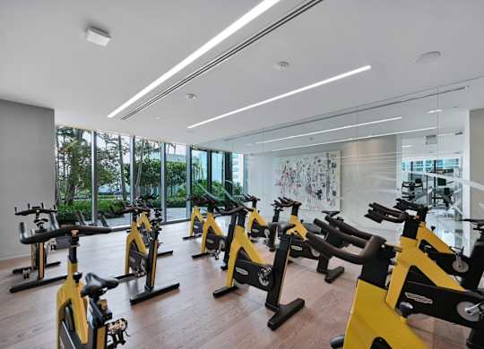 A gym with a row of stationary bikes.