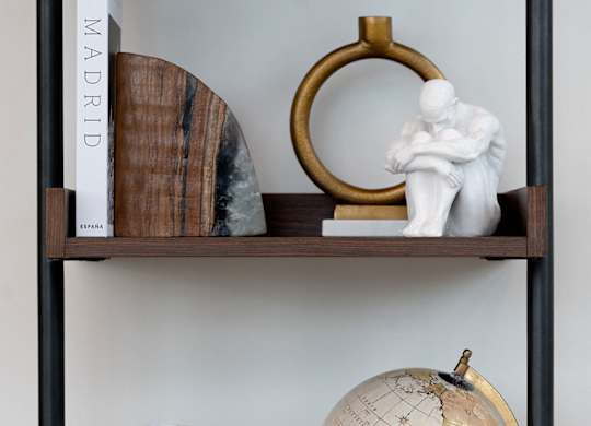 A shelf with a globe, a vase, a plant, and a book.