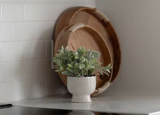 A plant in a white pot sits on a white stove.