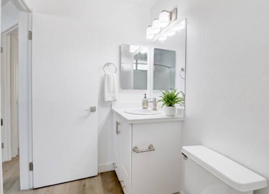 A white bathroom with a mirror, sink, and a plant.