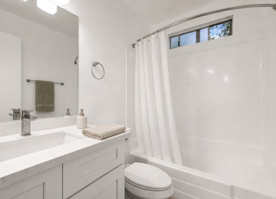 A white bathroom with a toilet, sink, mirror, and a plant.