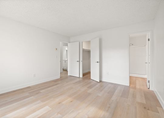 A room with white walls and wooden flooring with three open doors.