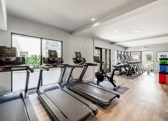 A gym with treadmills and exercise equipment.