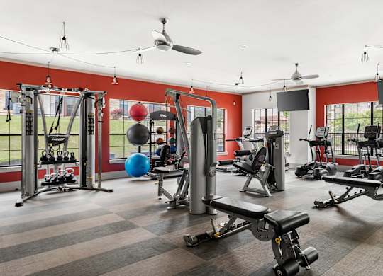 A gym with a variety of equipment including weights and a bench press.