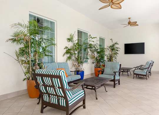 A living room with striped chairs and a flat screen TV.