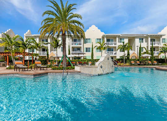 A large swimming pool in front of a white building with a palm tree.