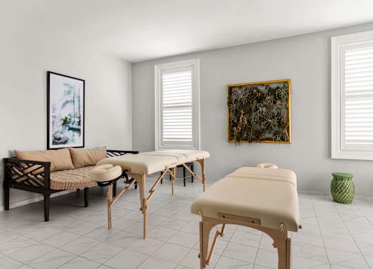 A room with a massage table, a couch, and a painting on the wall.