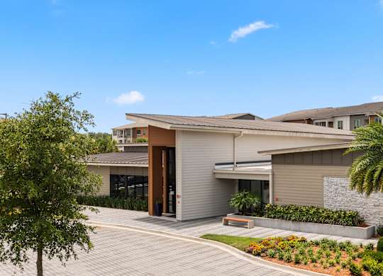A modern building with a palm tree in front.