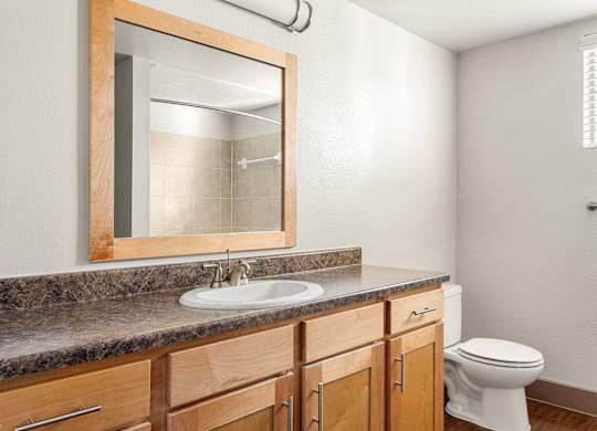 A bathroom with a toilet, sink, and mirror.