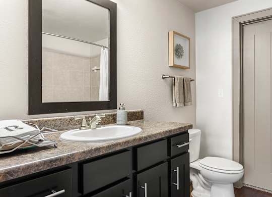 A bathroom with a sink, toilet, and a mirror.