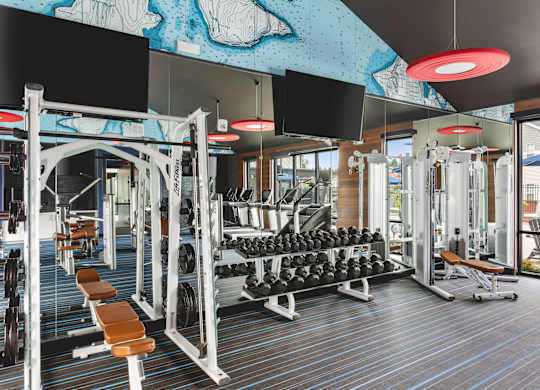 A gym with a variety of equipment including weights and weight machines.