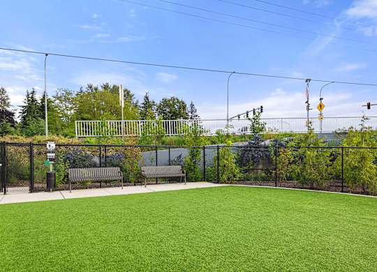 A green field with a fence and a bench.