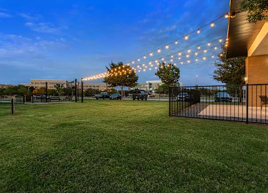 A lawn with a fence and string lights.