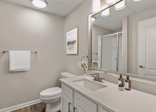 A bathroom with a toilet, sink, and mirror.