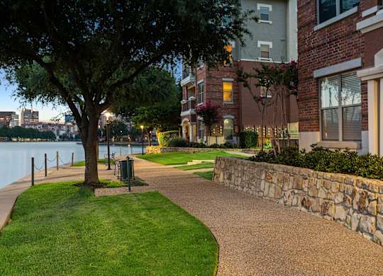 A tree stands on a grassy area next to a paved walkway.