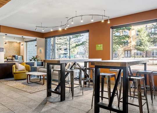A bar area with a row of stools and a counter.