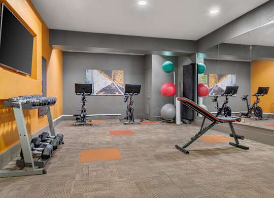 A gym with a variety of equipment including weights and exercise machines.
