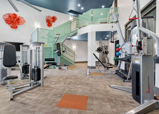A gym with a variety of equipment including a treadmill, weights, and a bench press.