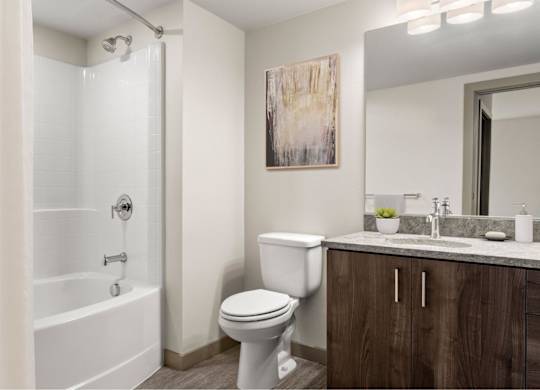 A bathroom with a white toilet, a white bathtub, and a wooden cabinet.