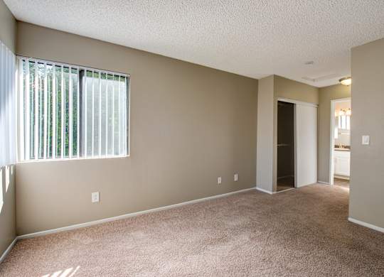 A room with a carpeted floor and a window with blinds.