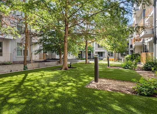 A sunny day in a park with green grass and trees.
