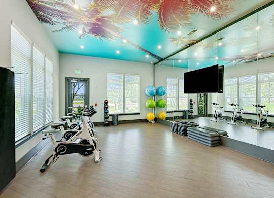 A gym with a row of treadmilers and exercise balls.