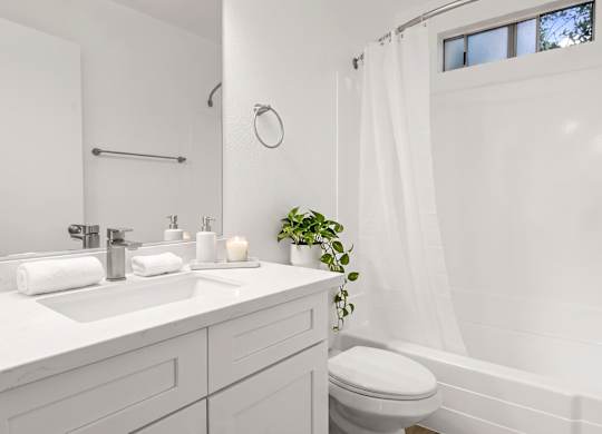 A white bathroom with a toilet, sink, and a plant.