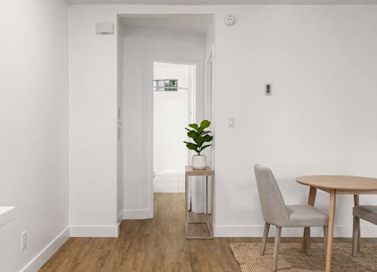 A room with a table, chairs and a plant.