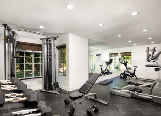 A spacious gym with a variety of equipment including treadmills, weights, and exercise machines.
