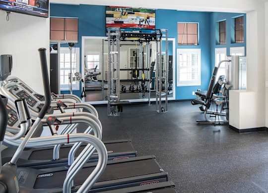 A gym with treadmills, weights and exercise equipment.