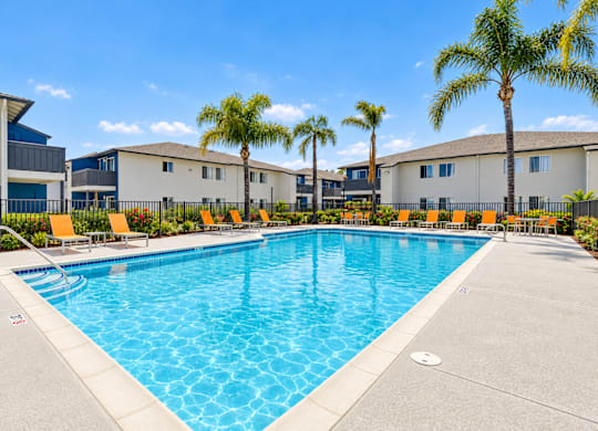 A large swimming pool surrounded by palm trees and lounge chairs.