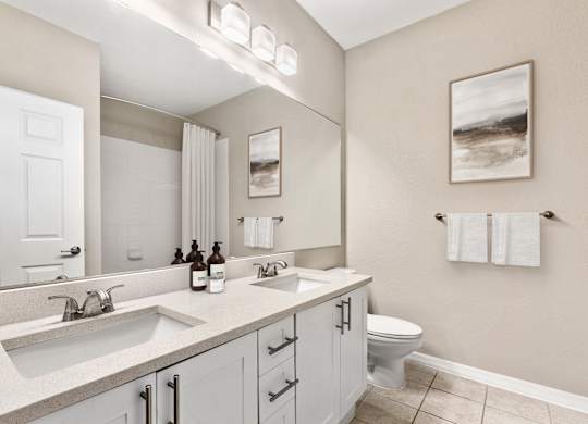 A bathroom with a white toilet, a sink, and a mirror.