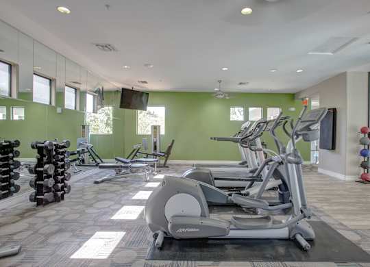 A gym with a row of treadmilers and dumbbells.