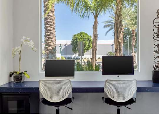 Two computer monitors are on a desk with a view of palm trees outside the window.