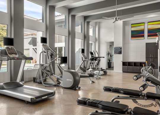 A gym with treadmills, exercise bikes, and other equipment.